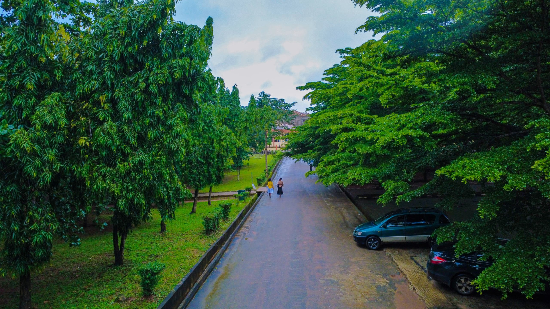 Students walking along a green, tree-shaded campus walkway